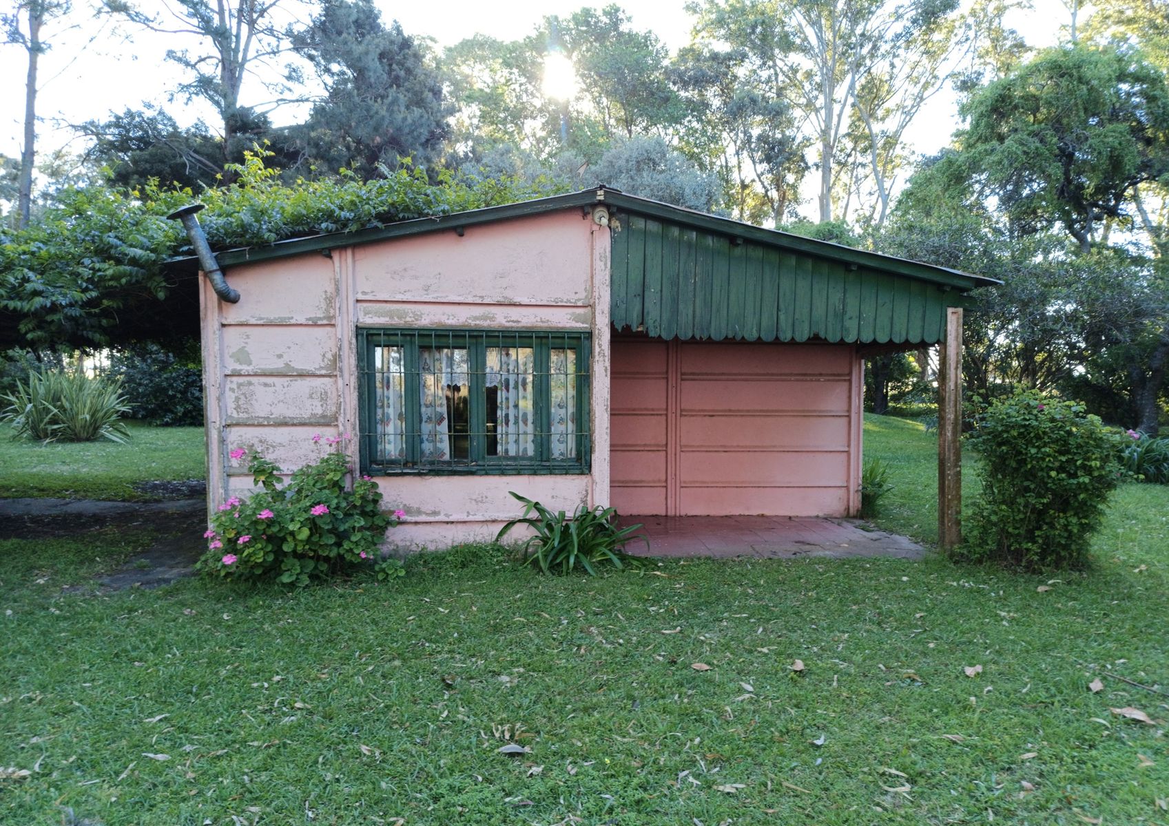 CAMPO en Venta en Punta Indio 170 hectáreas - 6