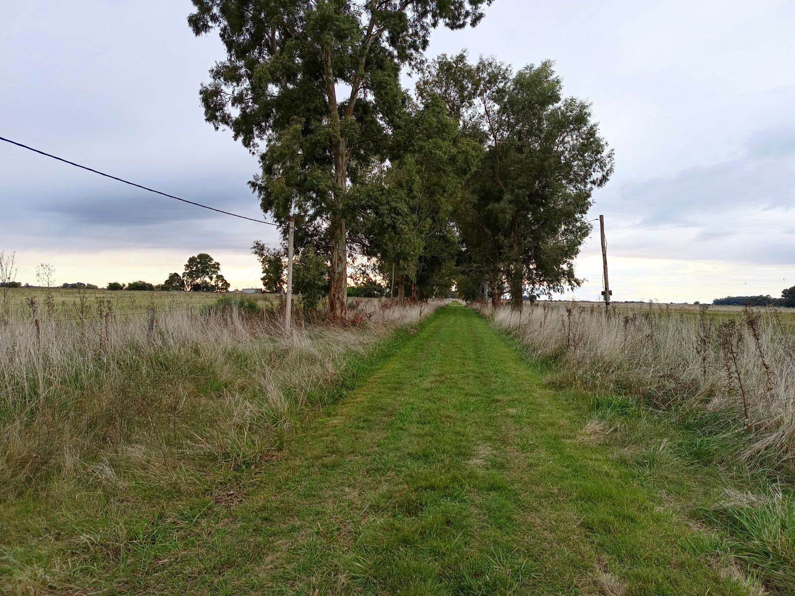 CAMPO en Venta 50 hectáreas en Punta Indio - 1