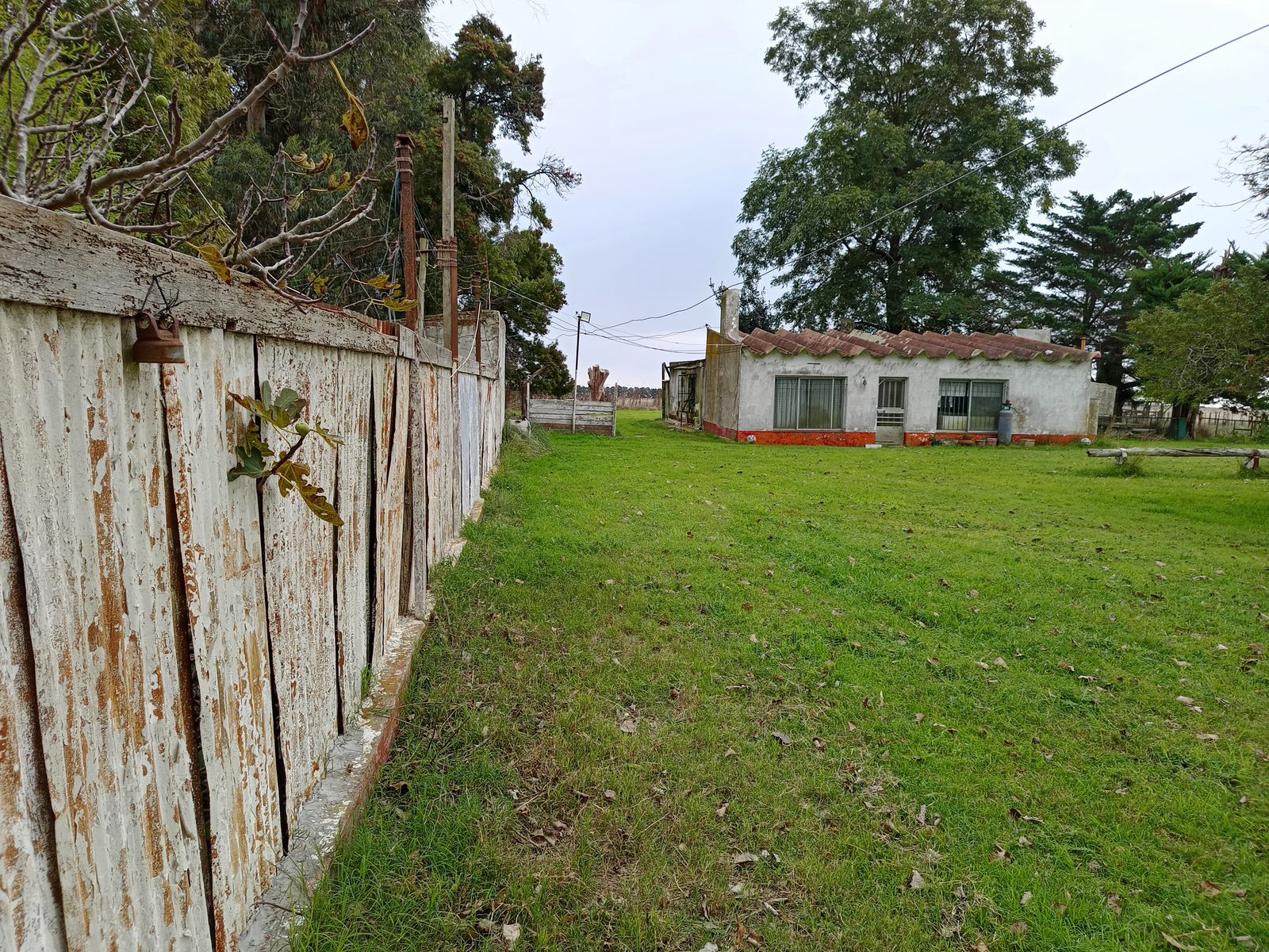 CAMPO en Venta 50 hectáreas en Punta Indio - 2