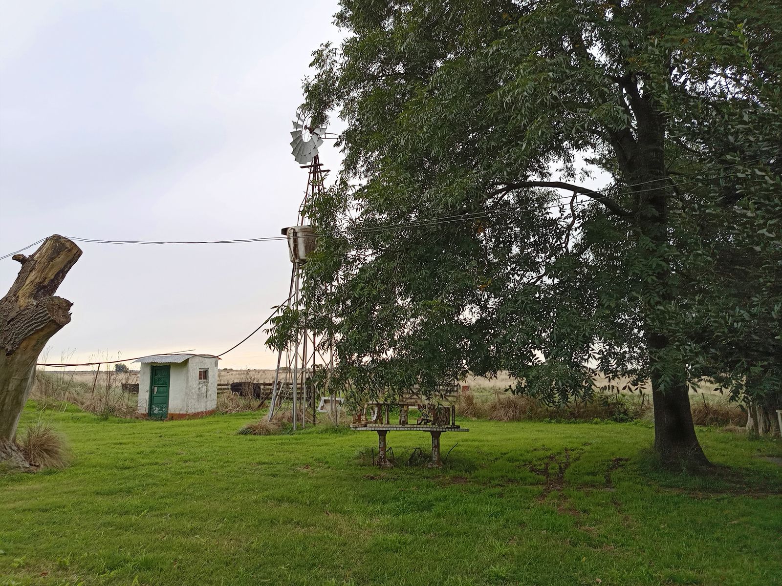 CAMPO en Venta 50 hectáreas en Punta Indio - 6