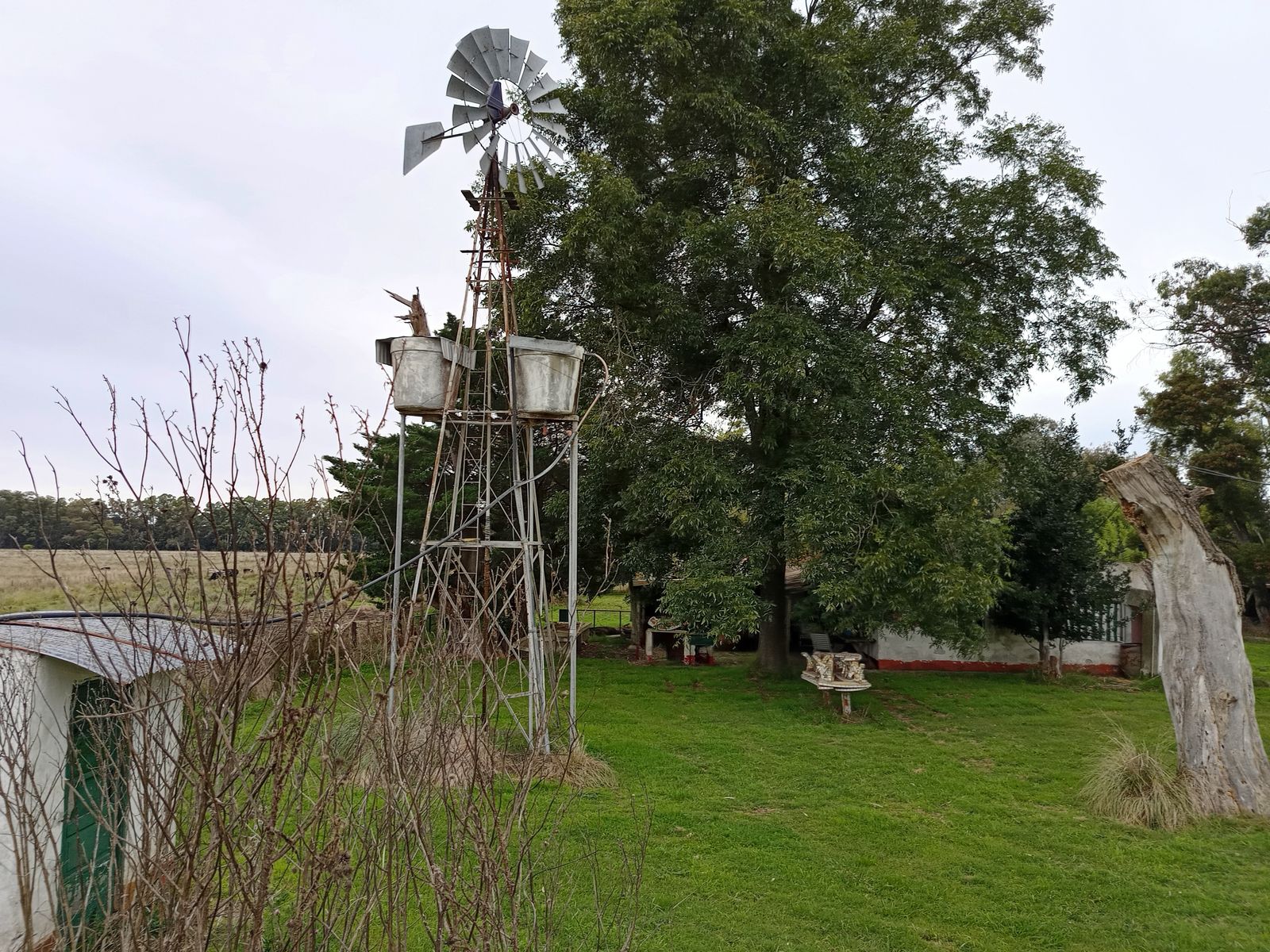 CAMPO en Venta 50 hectáreas en Punta Indio - 8