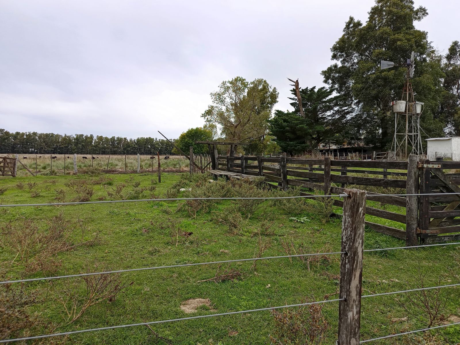 CAMPO en Venta 50 hectáreas en Punta Indio - 11