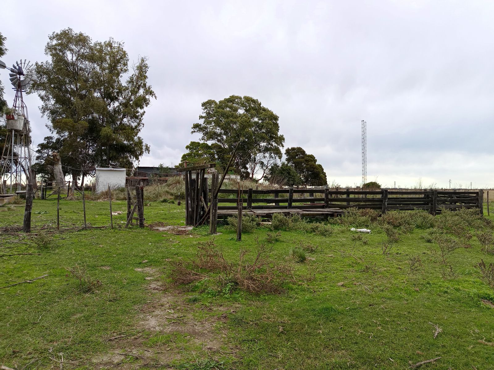 CAMPO en Venta 50 hectáreas en Punta Indio - 12