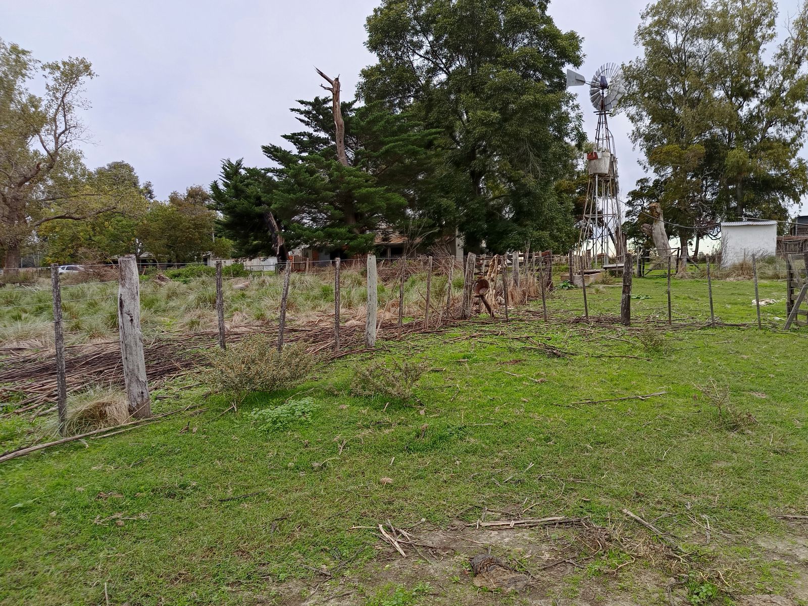 CAMPO en Venta 50 hectáreas en Punta Indio - 13