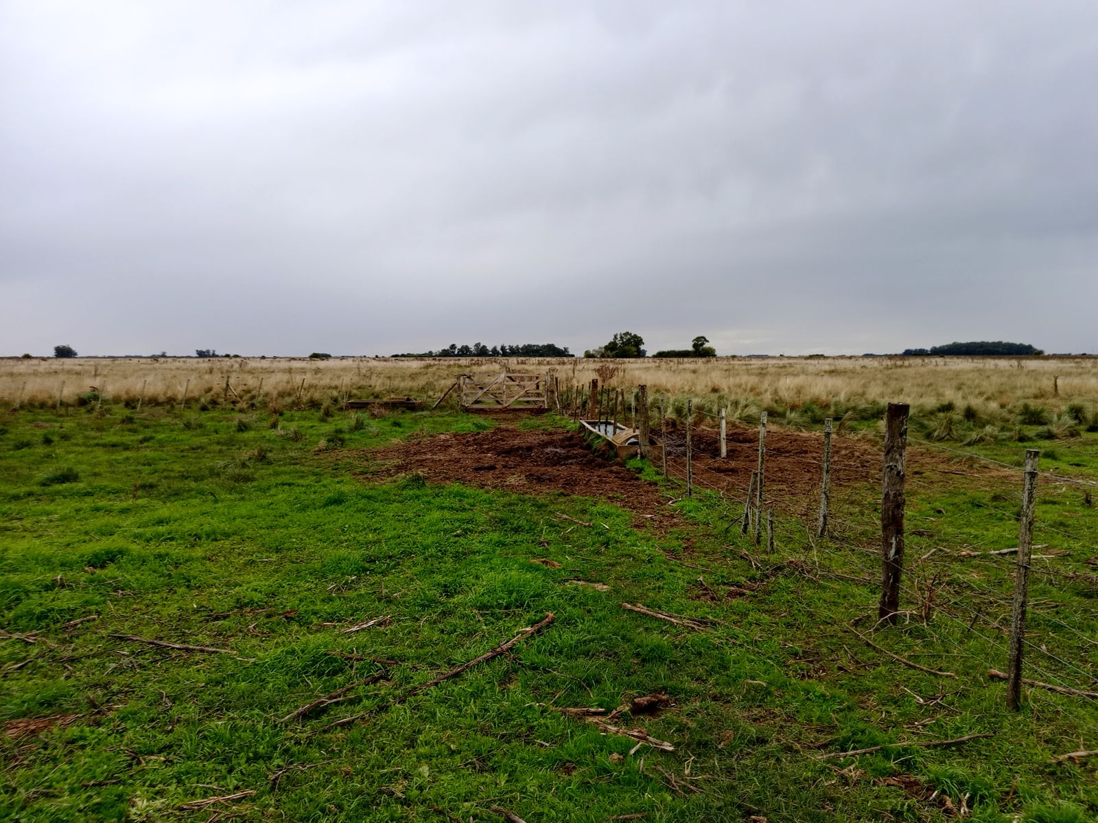 CAMPO en Venta 50 hectáreas en Punta Indio - 15