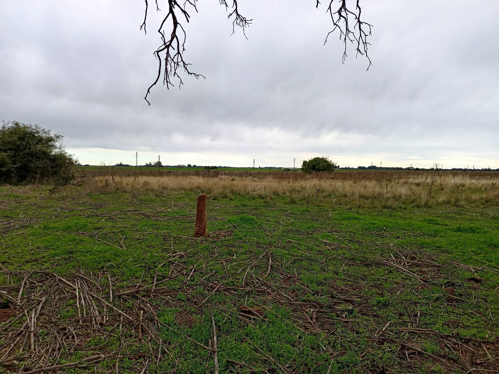 CAMPO en Venta 50 hectáreas en Punta Indio - 16