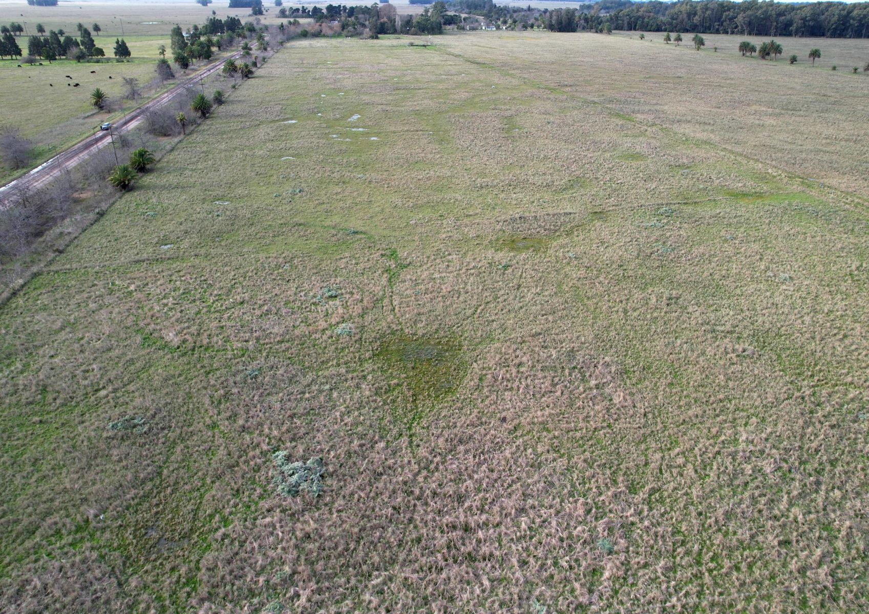 CAMPO en Venta en Punta Indio - 3