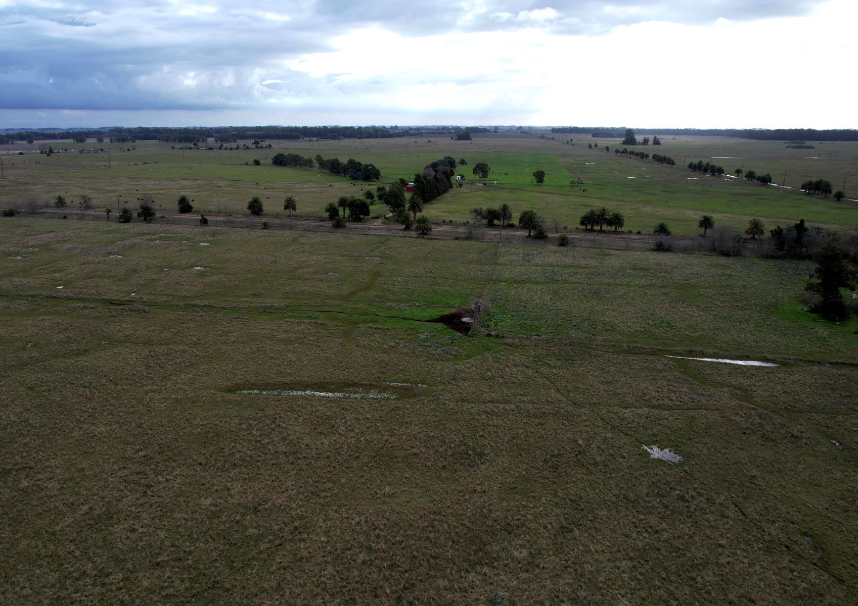 CAMPO en Venta en Punta Indio - 4