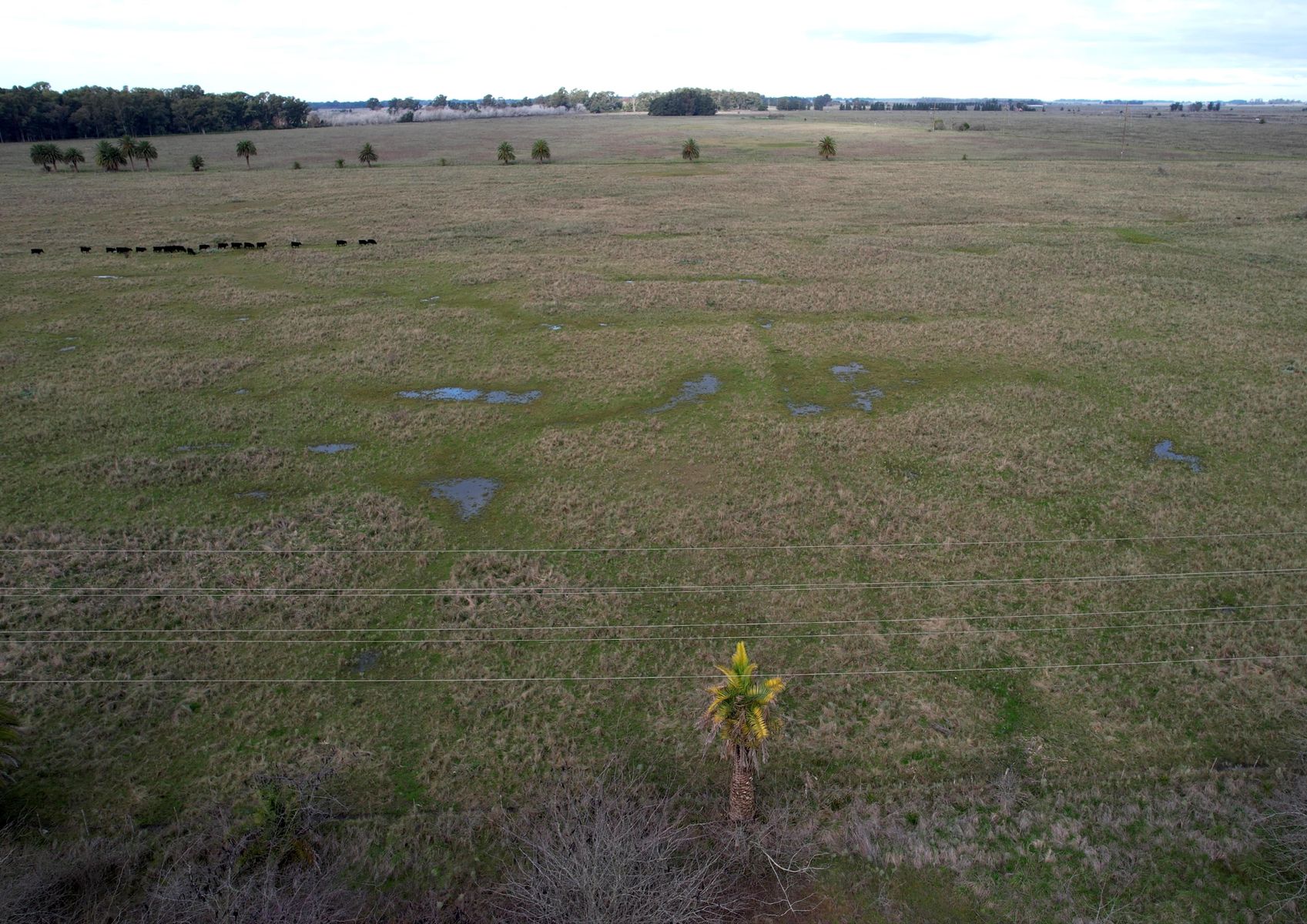 CAMPO en Venta en Punta Indio - 5