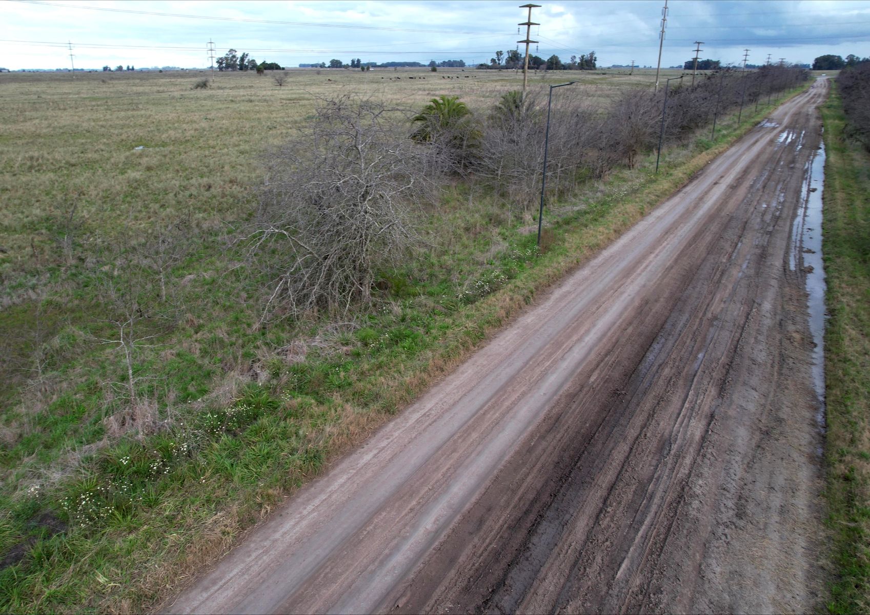 CAMPO en Venta en Punta Indio - 6