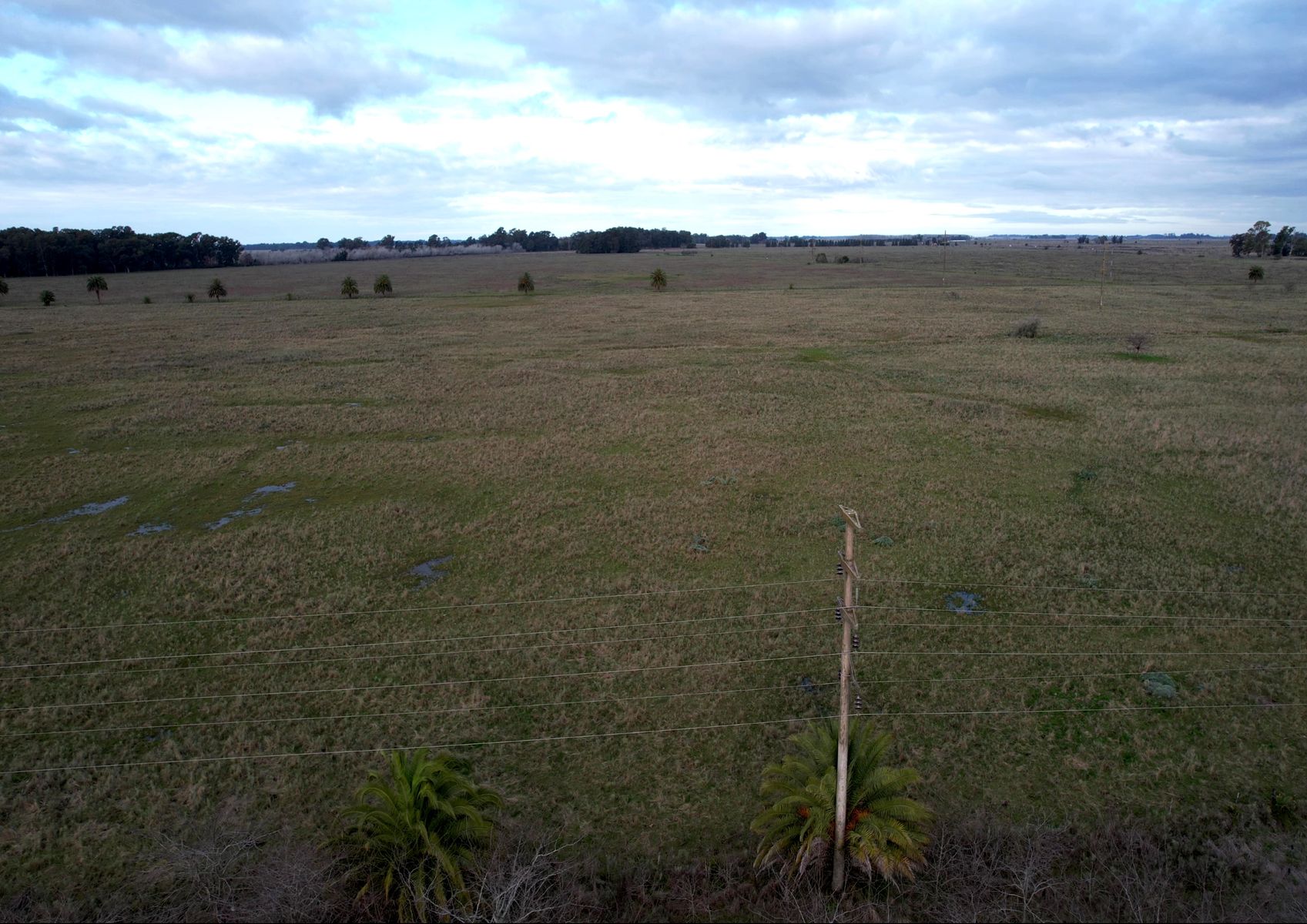 CAMPO en Venta en Punta Indio - 7