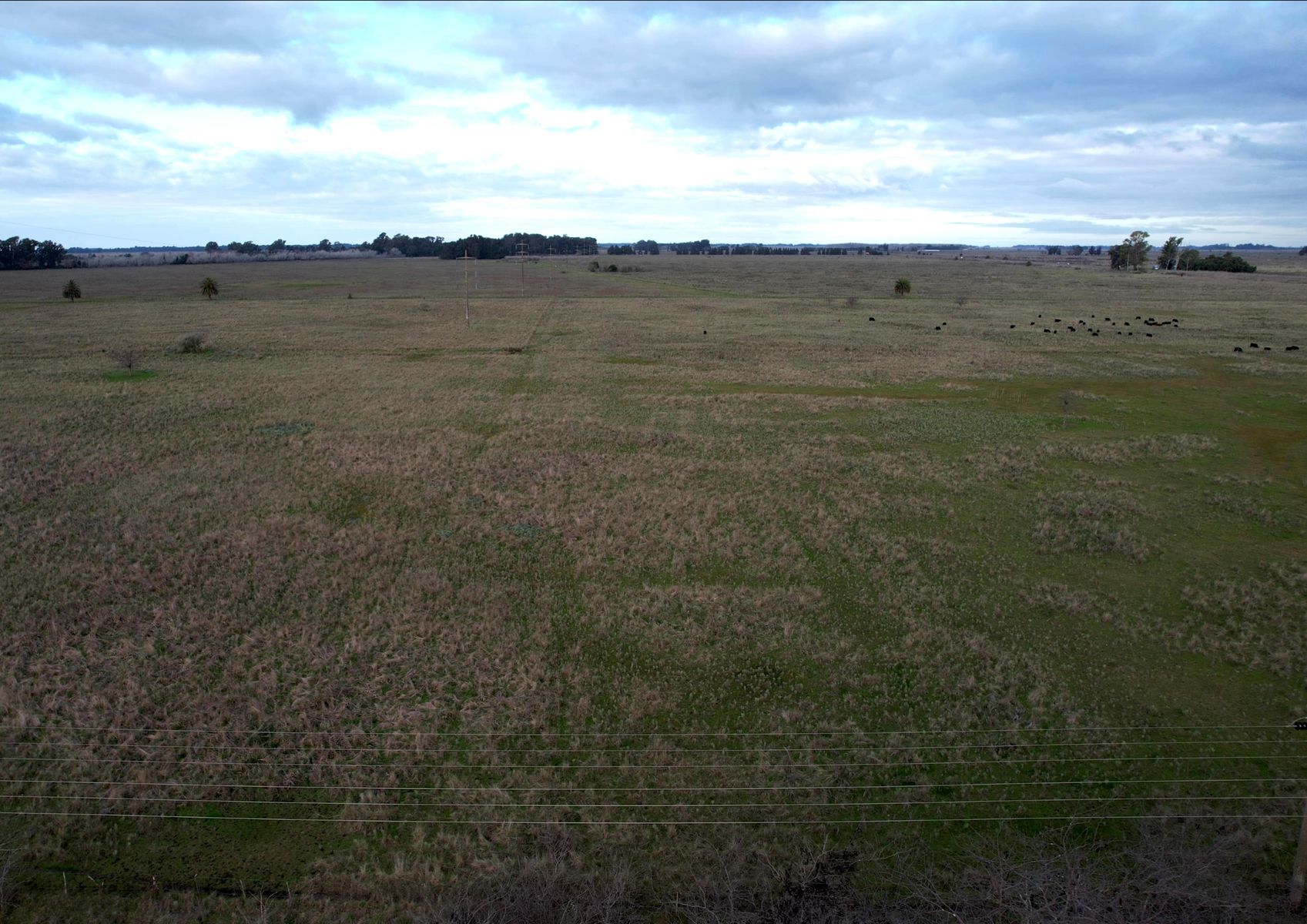 CAMPO en Venta en Punta Indio - 8