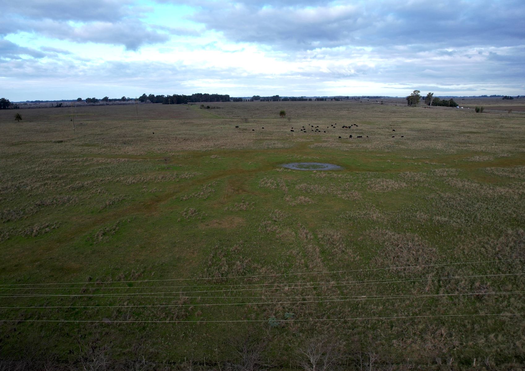 CAMPO en Venta en Punta Indio - 9