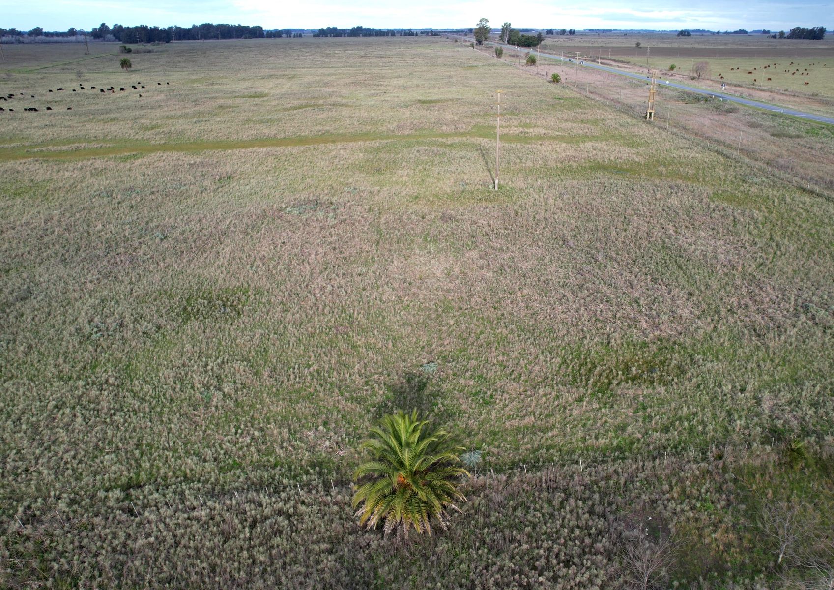 CAMPO en Venta en Punta Indio - 10