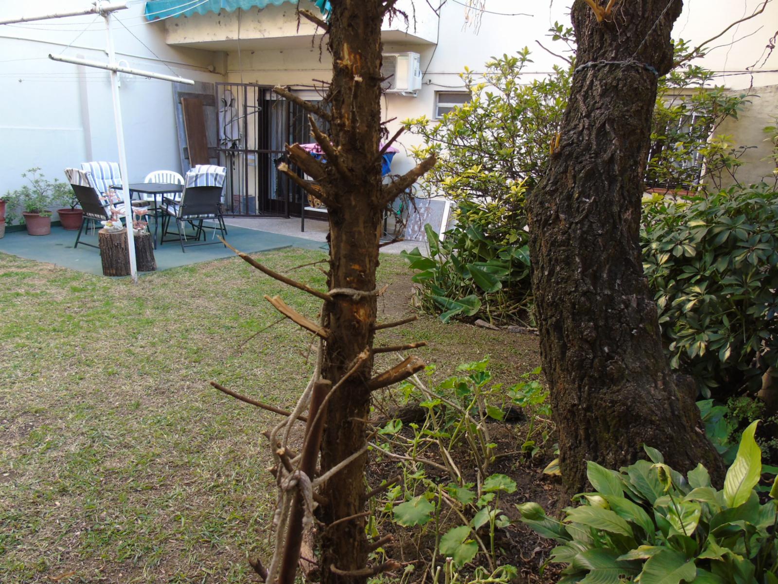 Excelente Dpto P.B. 3 Amb con Pque. — foto 9