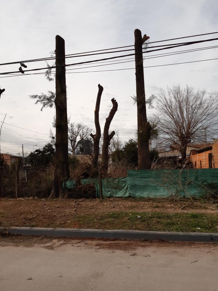 3 lotes sobre asfalto — foto 2