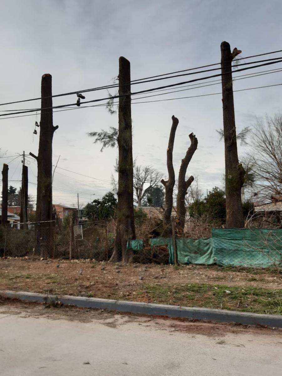 3 lotes sobre asfalto — foto 4