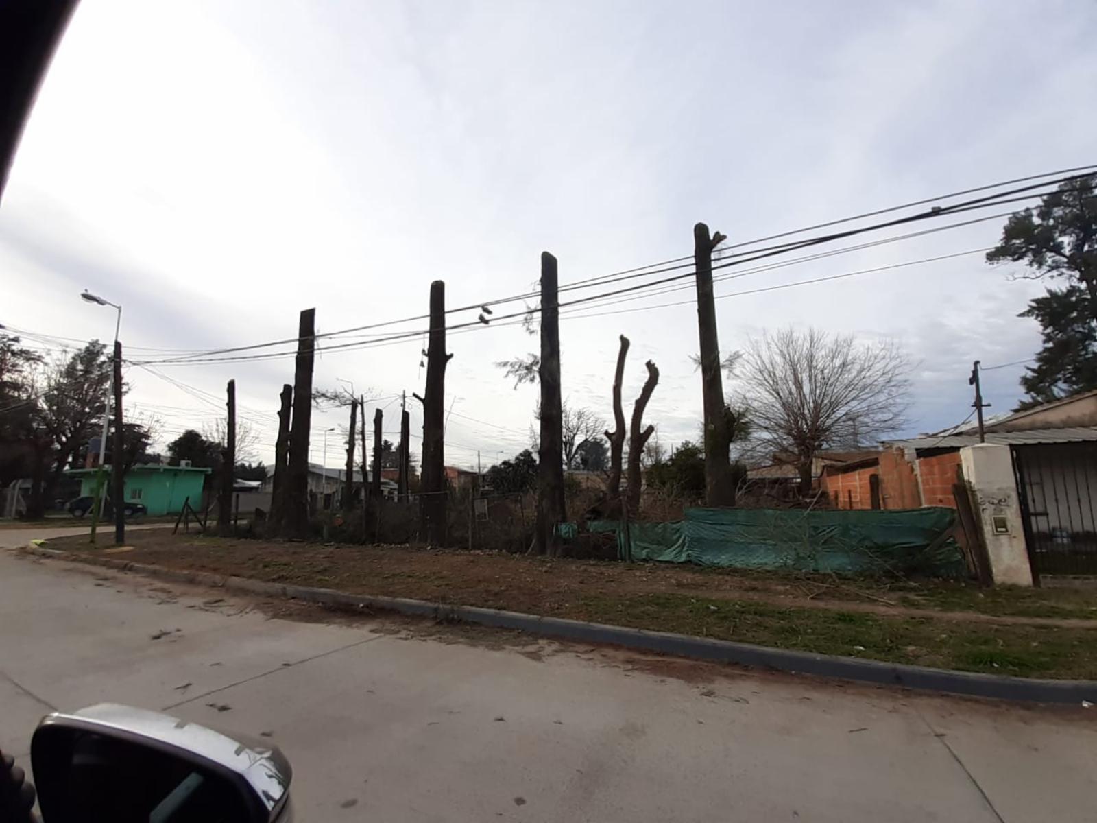 3 lotes sobre asfalto — foto 5