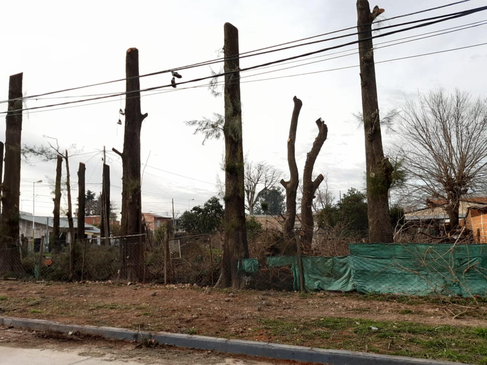 3 lotes sobre asfalto — foto 6