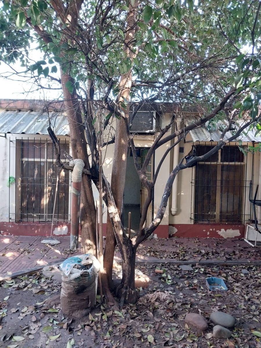 Casa centrica y a 2 cuadras de la Estacion con dos locales — foto 8