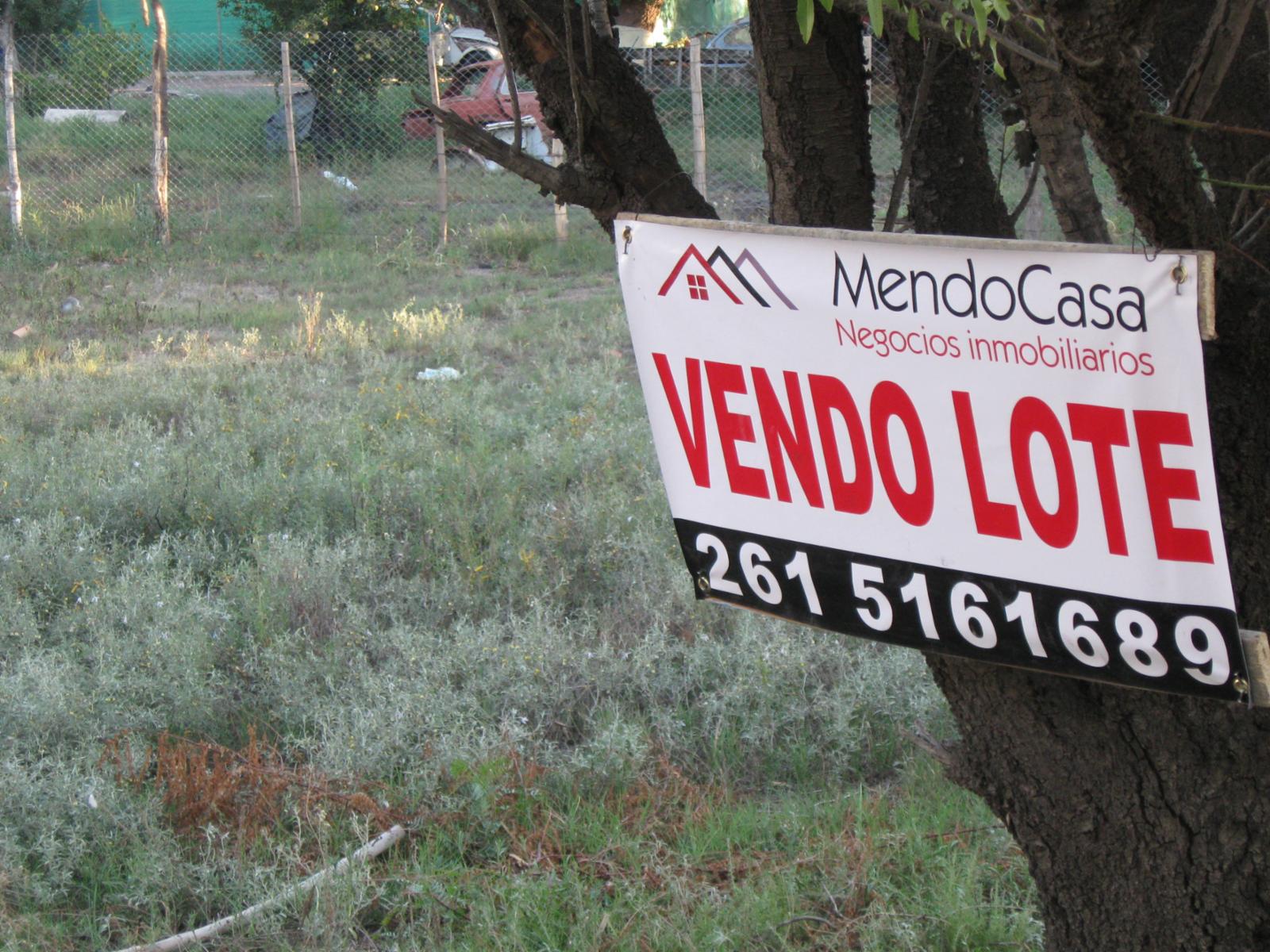TERRENOS EN SAN MARTIN MENDOZA VENTA OPORTUNIDAD - 3