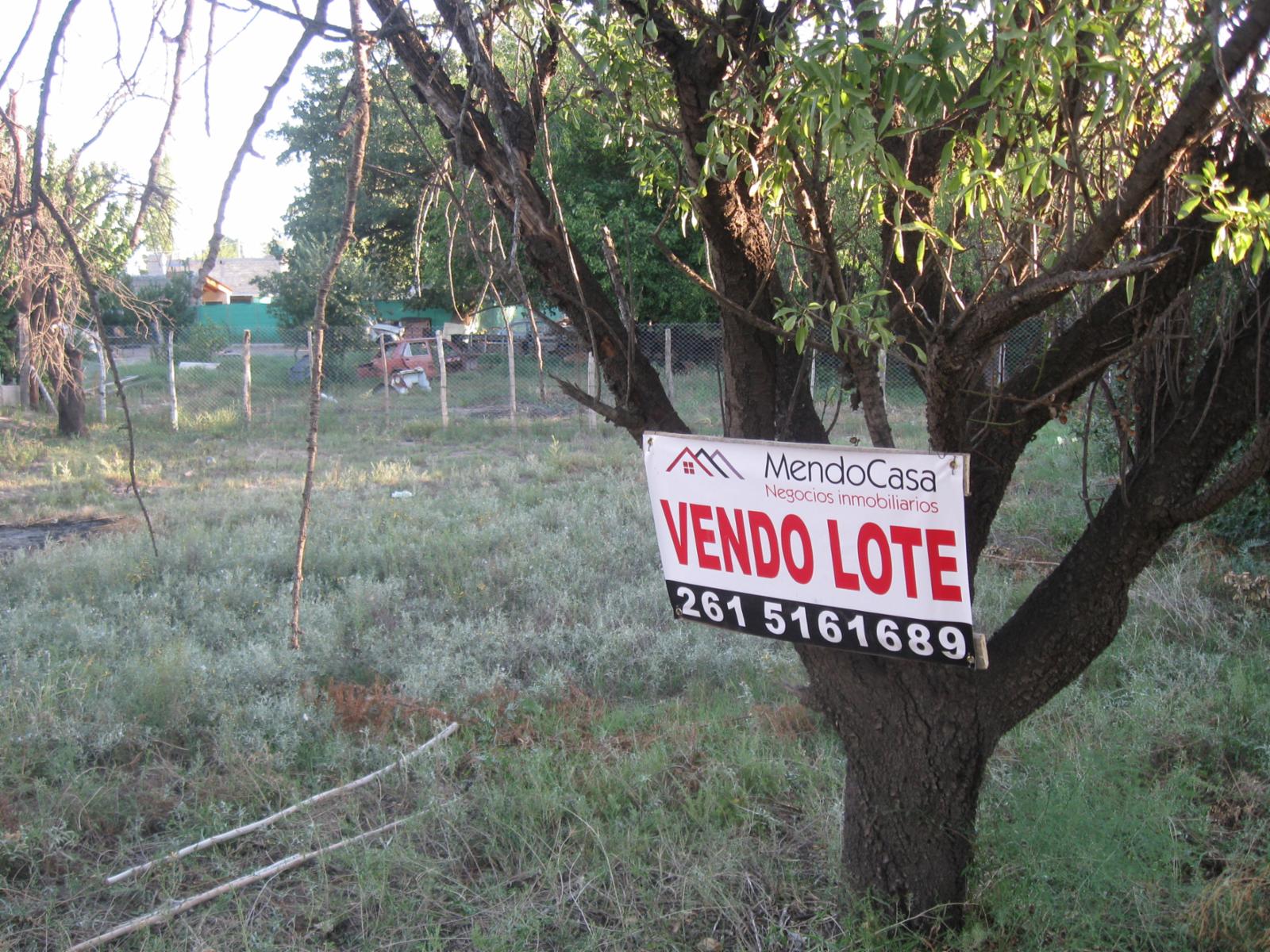 TERRENOS EN SAN MARTIN MENDOZA VENTA OPORTUNIDAD - 4
