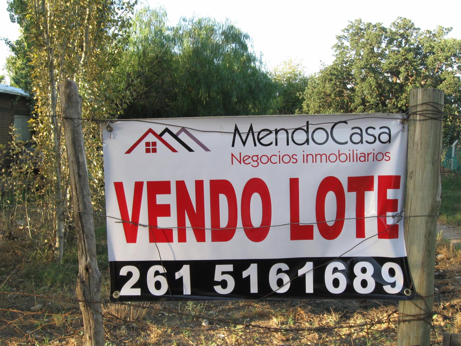 TERRENOS EN SAN MARTIN MENDOZA VENTA OPORTUNIDAD - 5