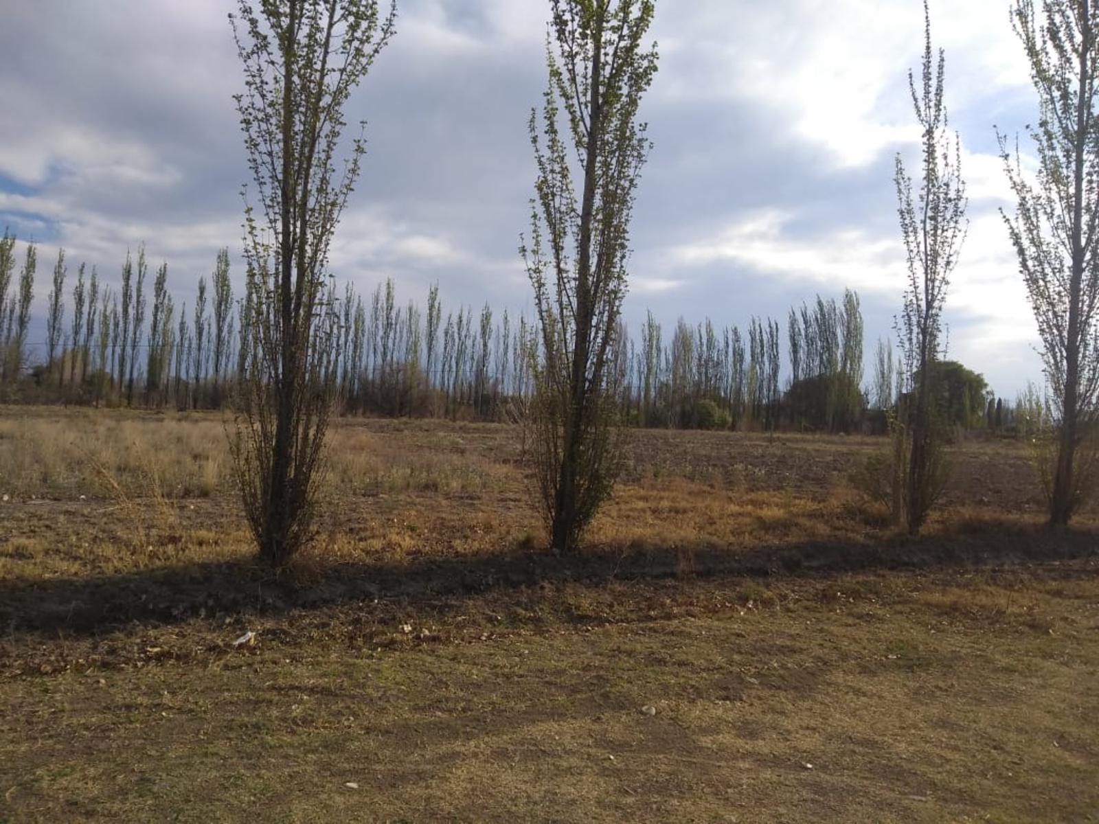 VENDO LOTE EN LAS PAREDES EXCELENTE PRECIO Y UBICACIÓN 1120 M2 DE TERRENO. SAN RAFAEL. MENDOZA. — foto 2