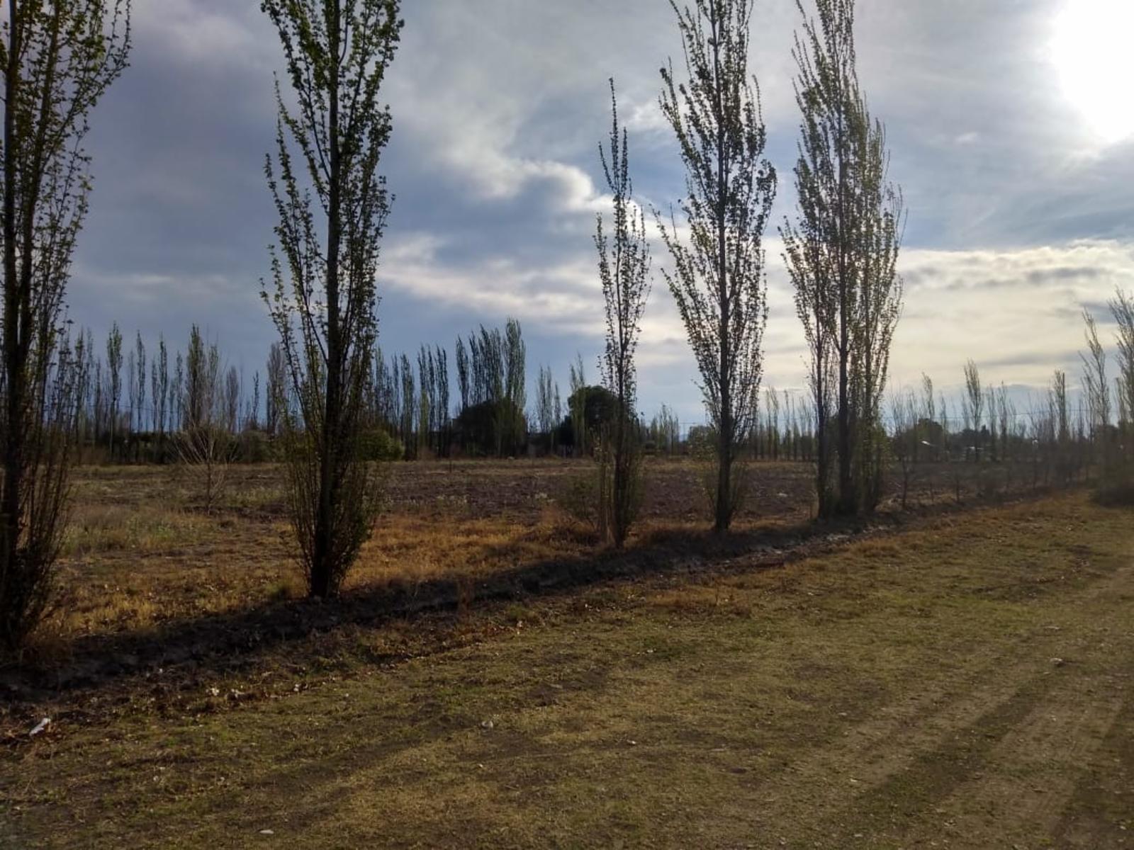 VENDO LOTE EN LAS PAREDES EXCELENTE PRECIO Y UBICACIÓN 1120 M2 DE TERRENO. SAN RAFAEL. MENDOZA. — foto 3
