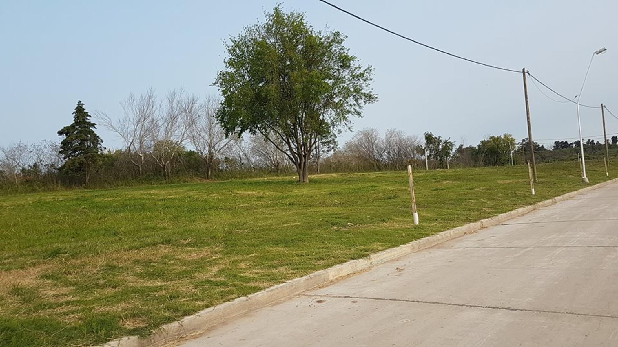 SE VENDE LOTE EN URBANIZACIÓN LOS LAPACHOS 2 - ALTOS DEL PARACAO — foto 2