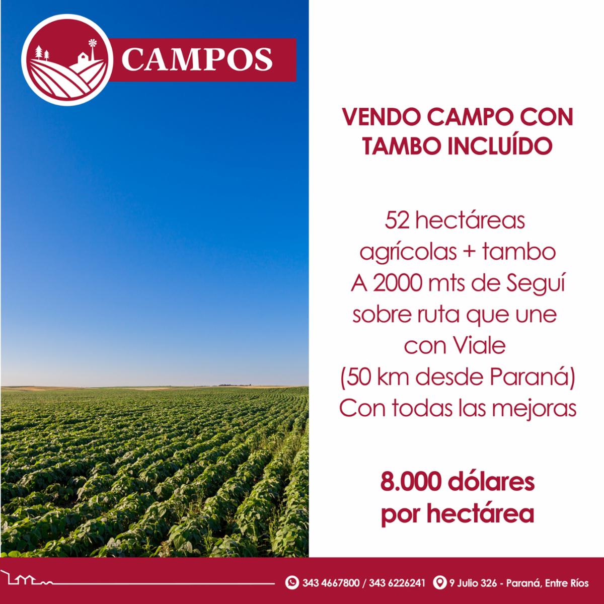 Vendo campo con tambo incluido - 1