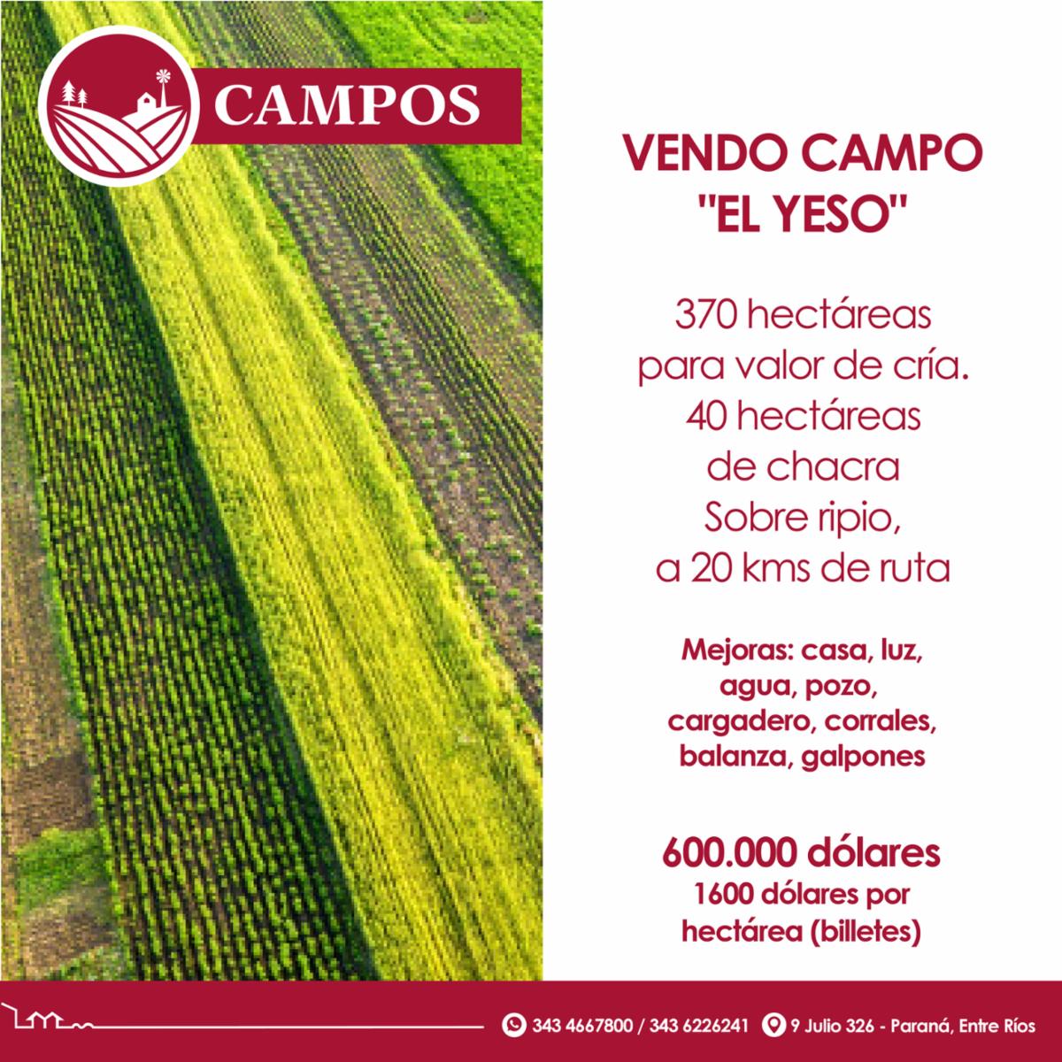 Vendo campo "El Yeso" - 1
