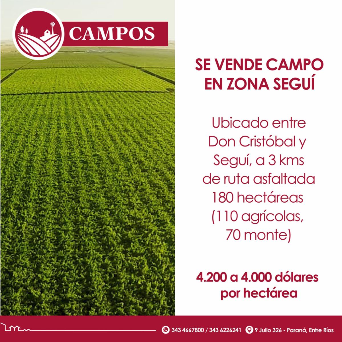Se vende campo en zona Seguí - 1