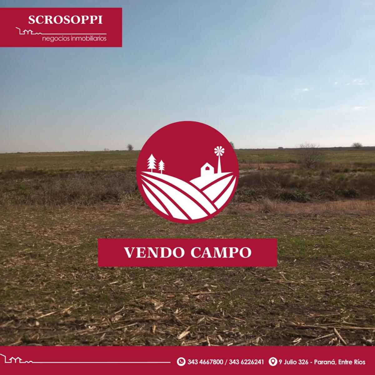 Vendo campo: ¡muy linda tierra - 1
