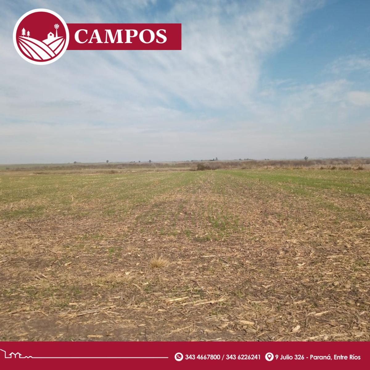 Vendo campo: ¡muy linda tierra - 2