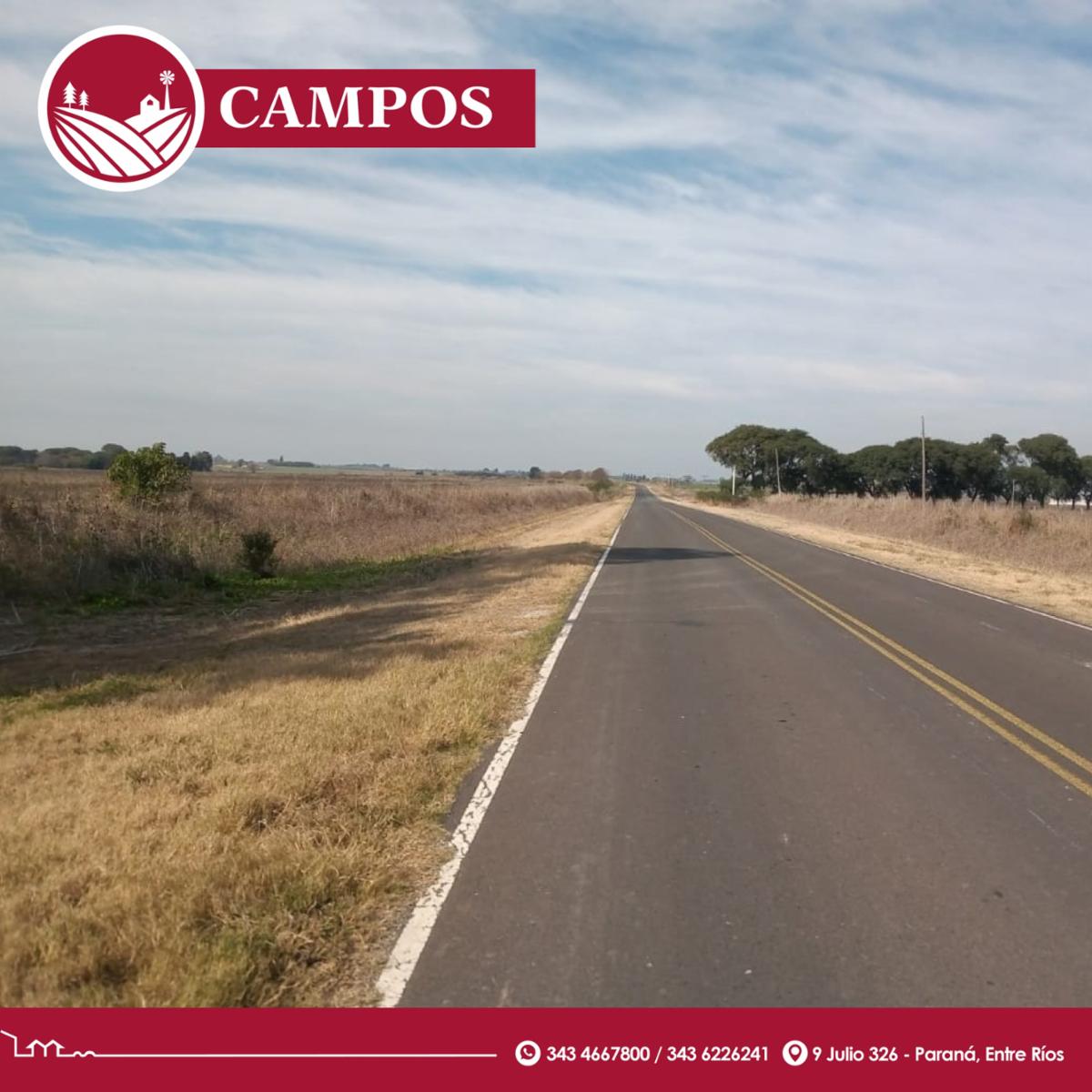 Vendo campo: ¡muy linda tierra - 3