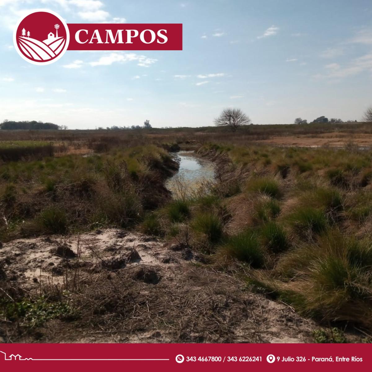 Vendo campo: ¡muy linda tierra - 4