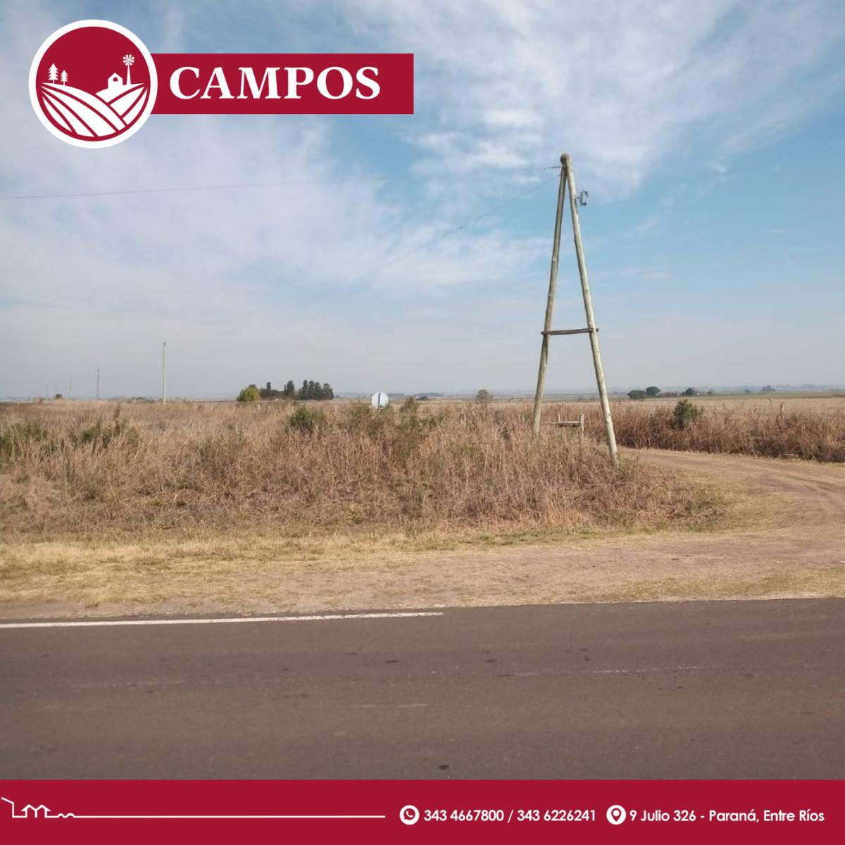¡Oportunidad Muy buen campo agrÃ­cola - arroyo - 2