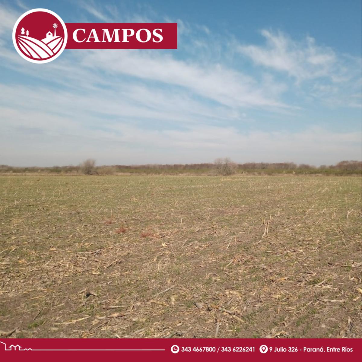 ¡Oportunidad Muy buen campo agrÃ­cola - arroyo - 3