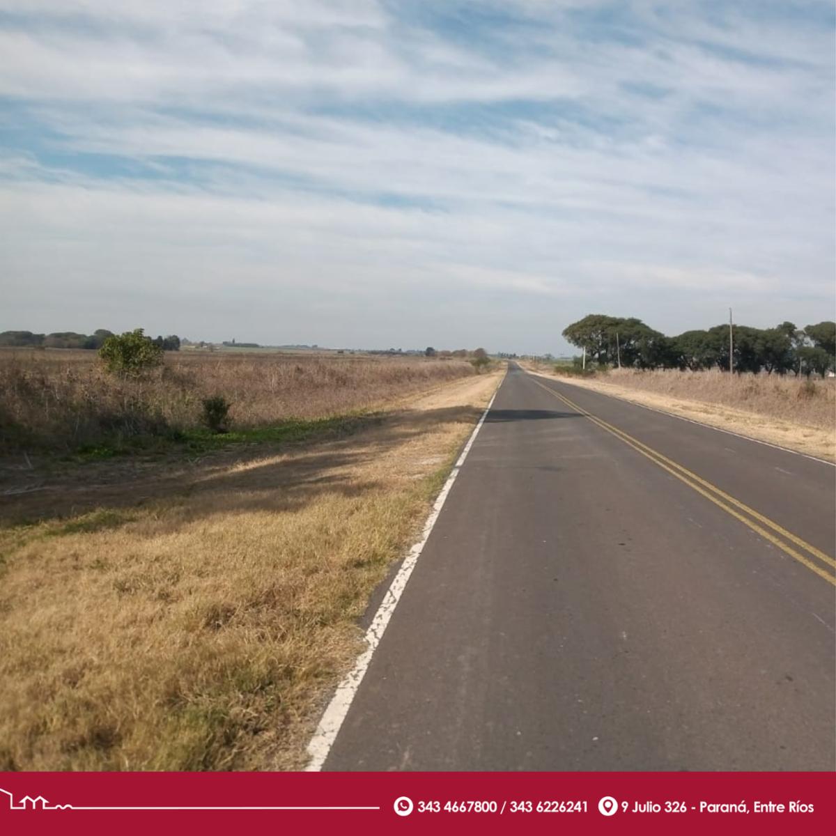 ¡Oportunidad Muy buen campo agrÃ­cola - arroyo - 4