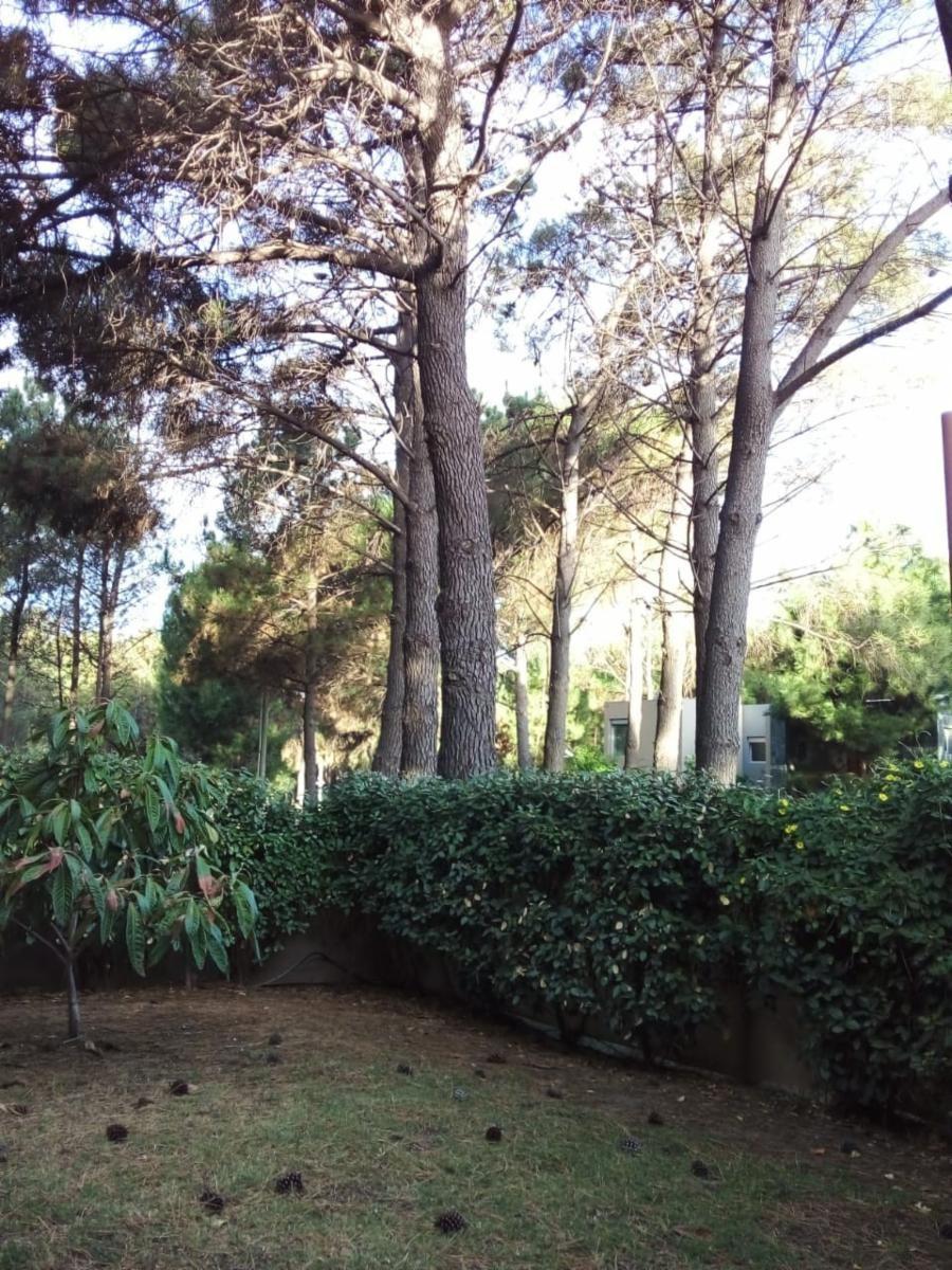 Excelente casa en Monte del Este a 600 mts del mar para 9 personas, 3 dormitorios, 2 baños 1 en suite, entrada para auto, parrilla, patio con sombra. — foto 4