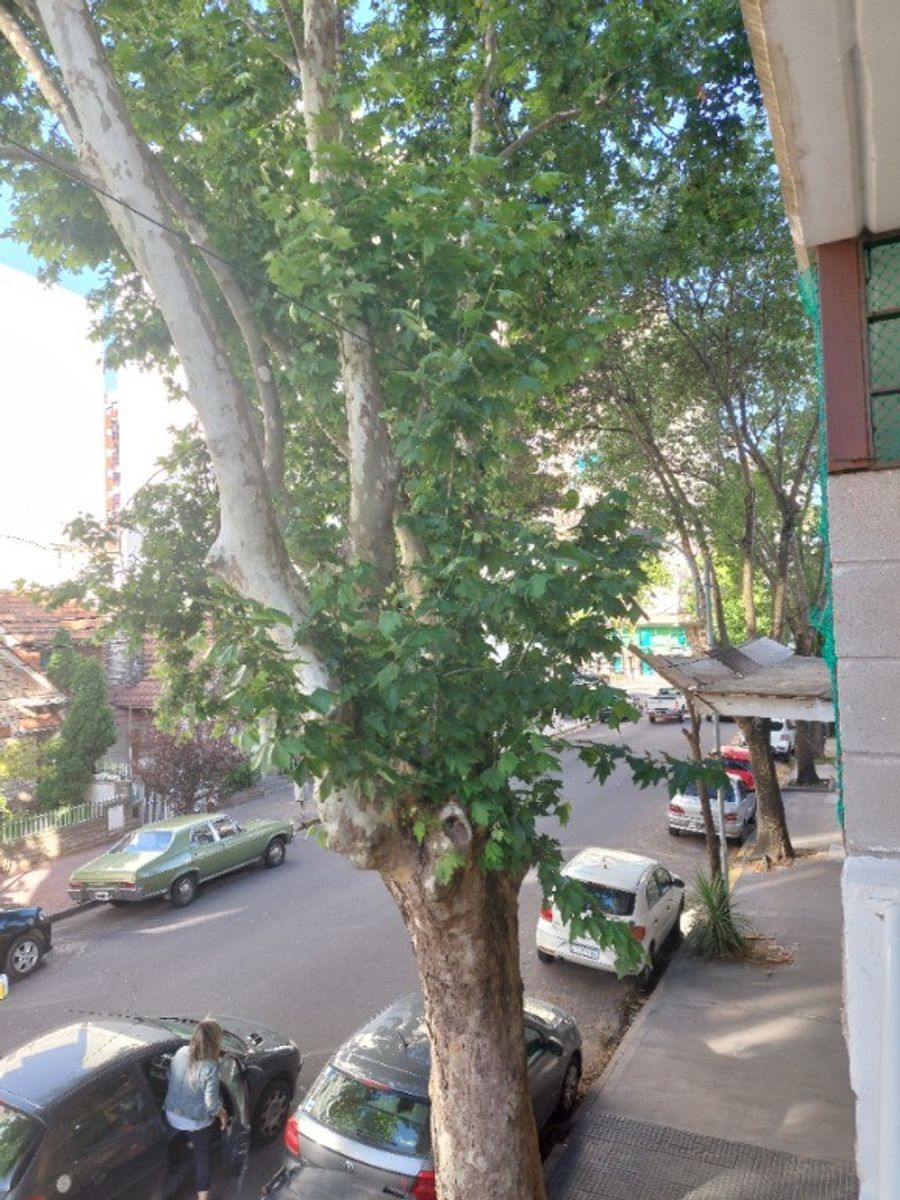 MAR DEL PLATA,EXCELENTE, 2AMBIENTES COCHERA BALCON SALIENTE METROSDEAVENIDA INDEPENDENCIA , OPORTUNIDAD — foto 7