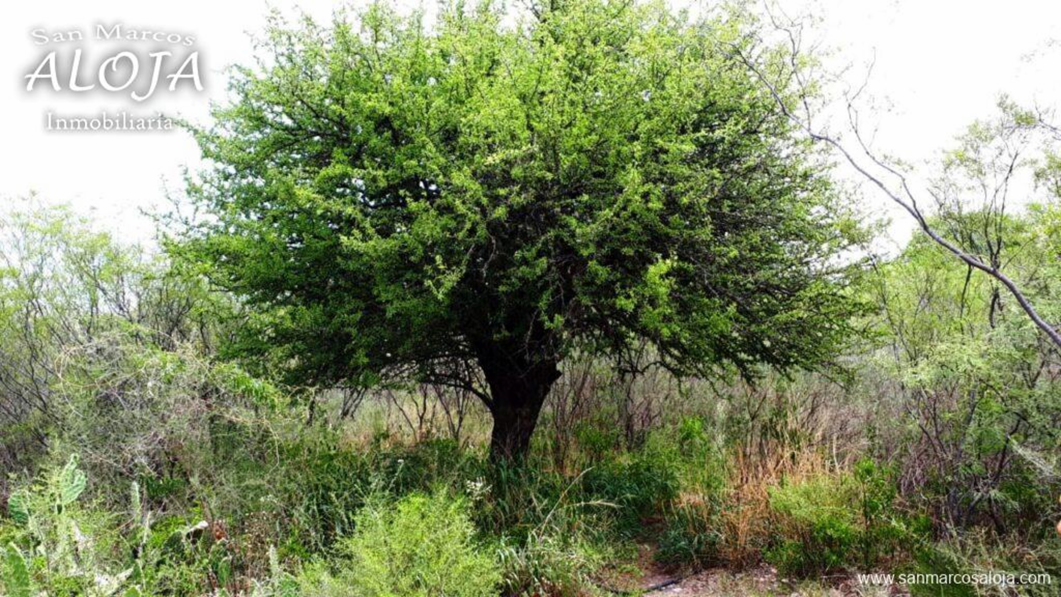 SU MEJOR OPCIÓN VENTA DE LOTE EN SAN MARCOS SIERRA ZONA TURÍSTICA O PERMUTA POR CASA EN LA COSTA - 20