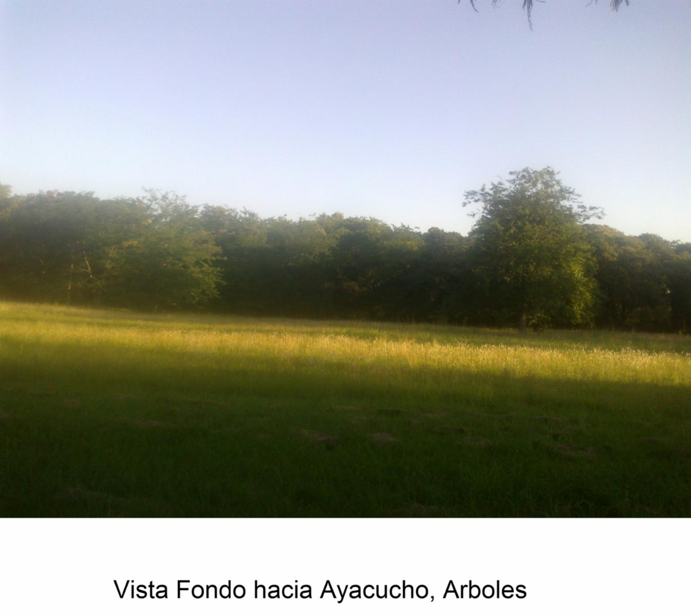 Terrenos Financiados en Monte Grande, Zona Sur — foto 5