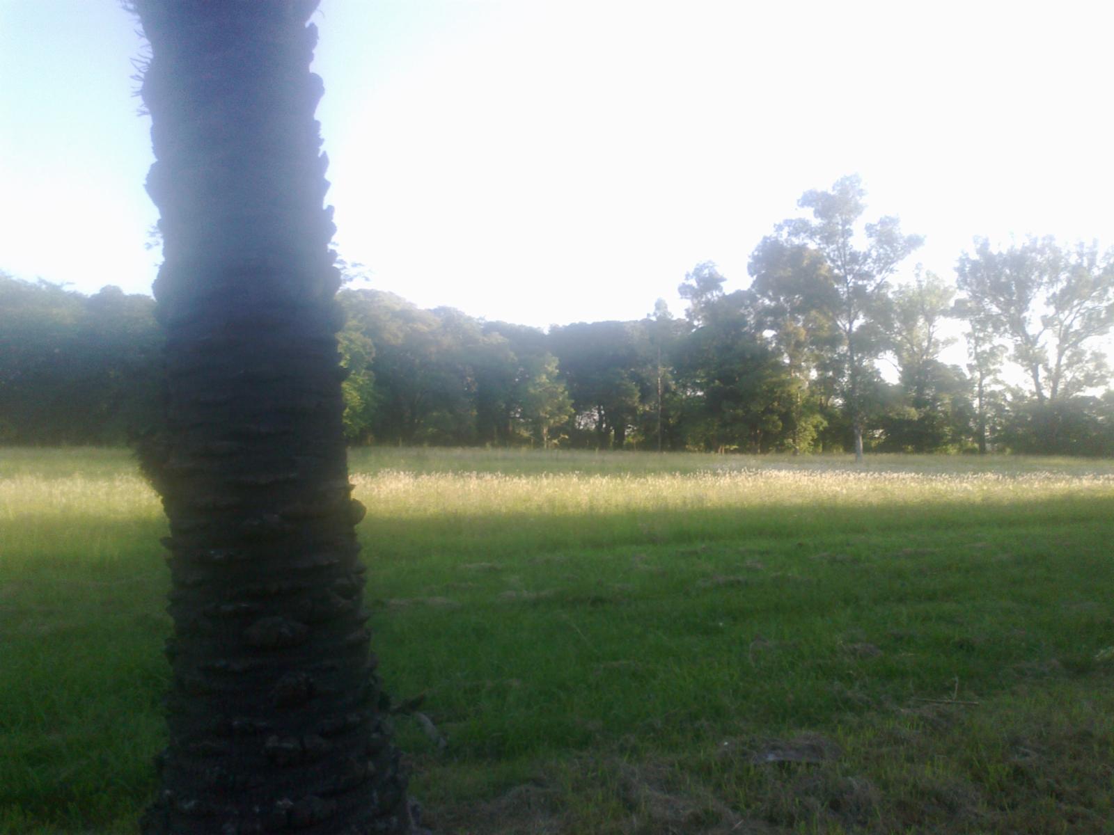 Terrenos Financiados en Monte Grande, Zona Sur — foto 6