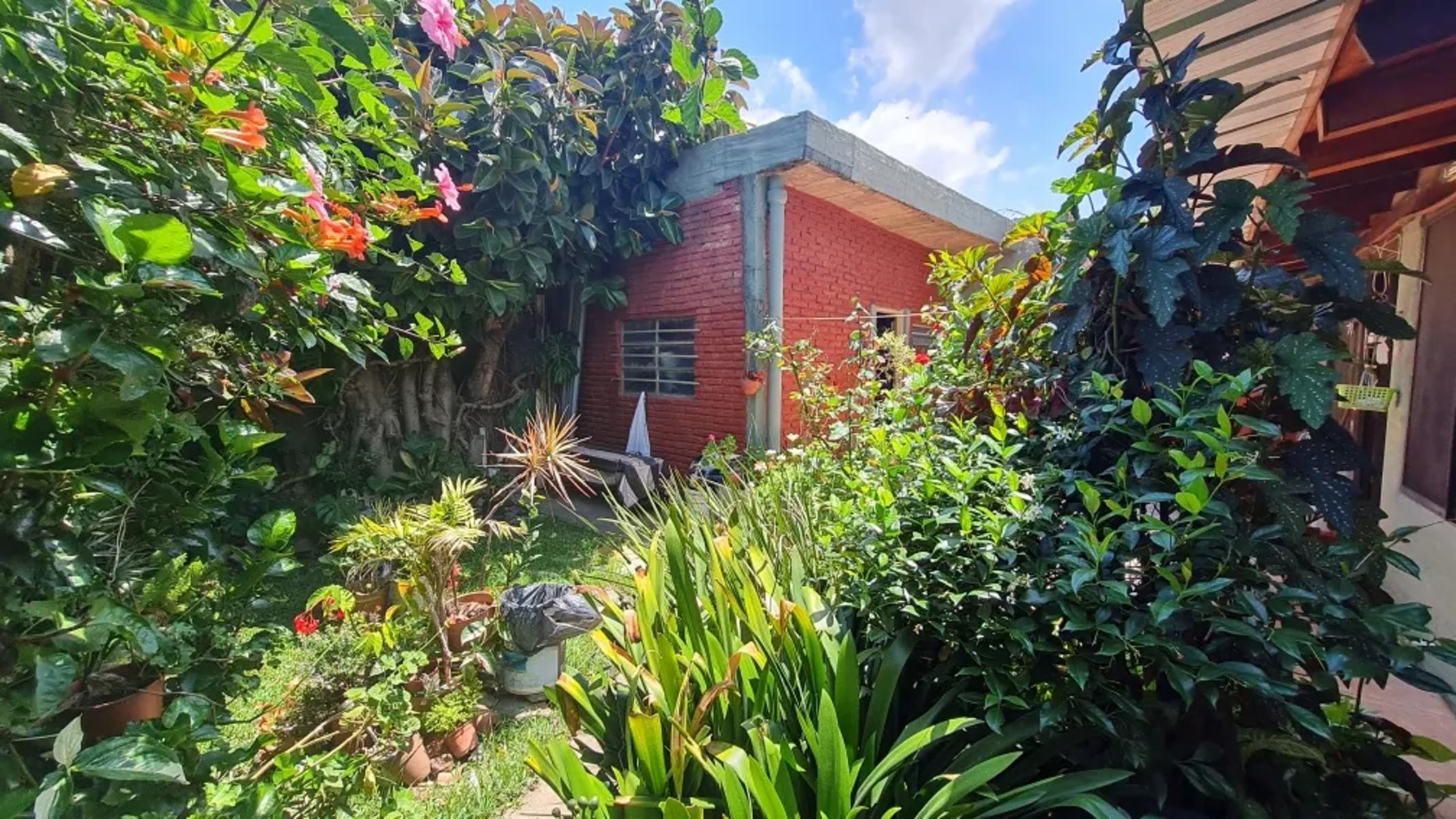 Casa En Esquina, Con Amplio Espacio Verde — foto 2