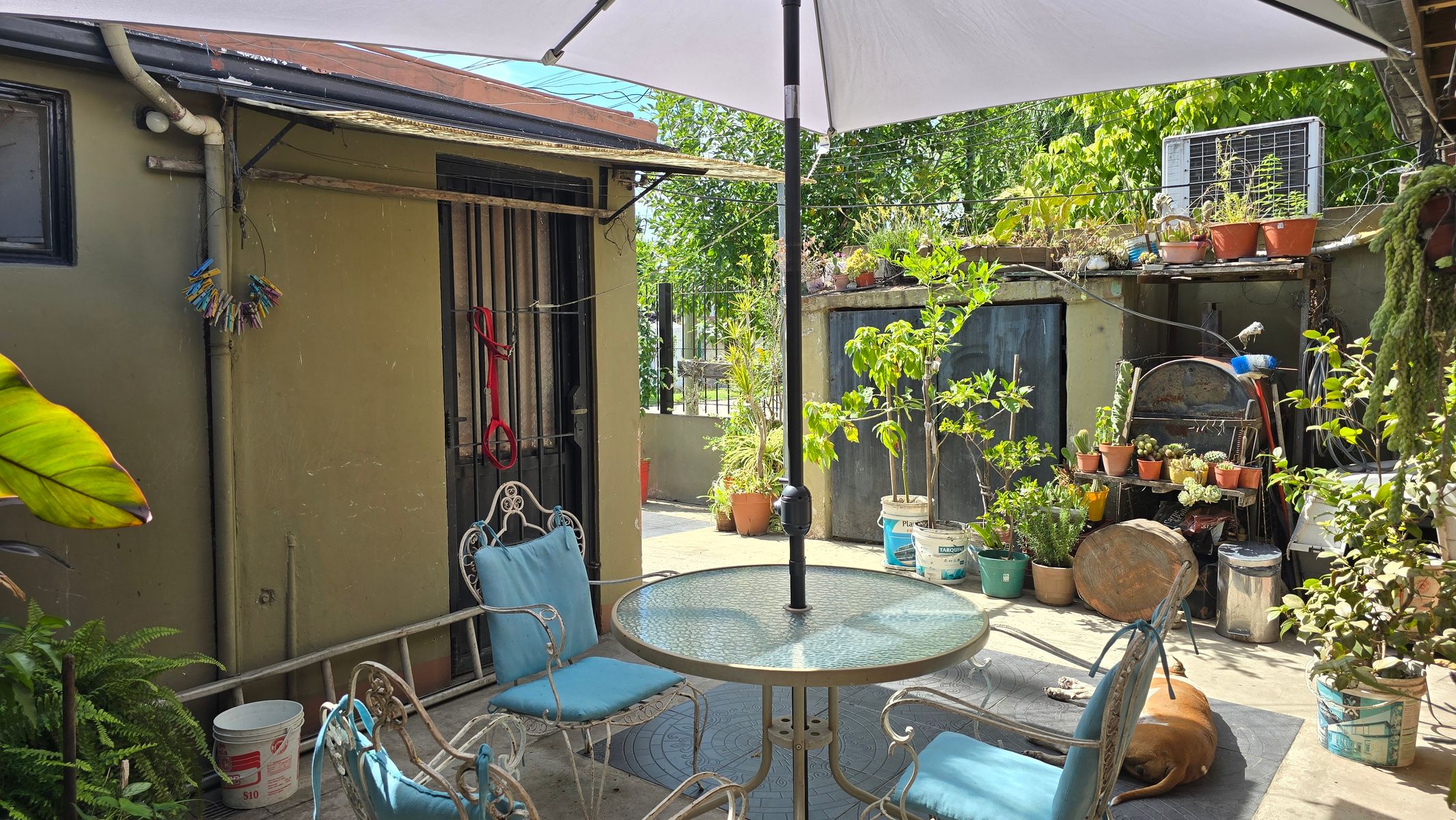 Casa 5 Ambientes, Muy Buena Propiedad, Entrada De Auto, Posibilidad De Vivienda Multifamiliar — foto 4