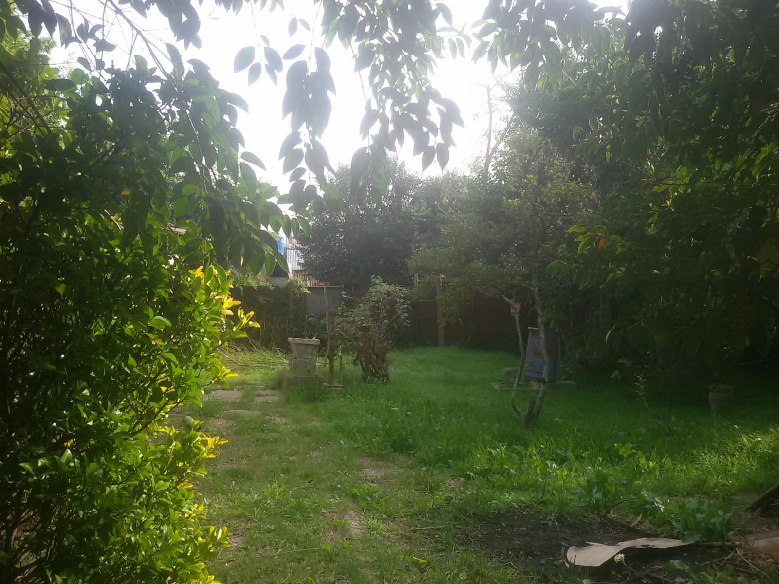 TERRENO — foto 2