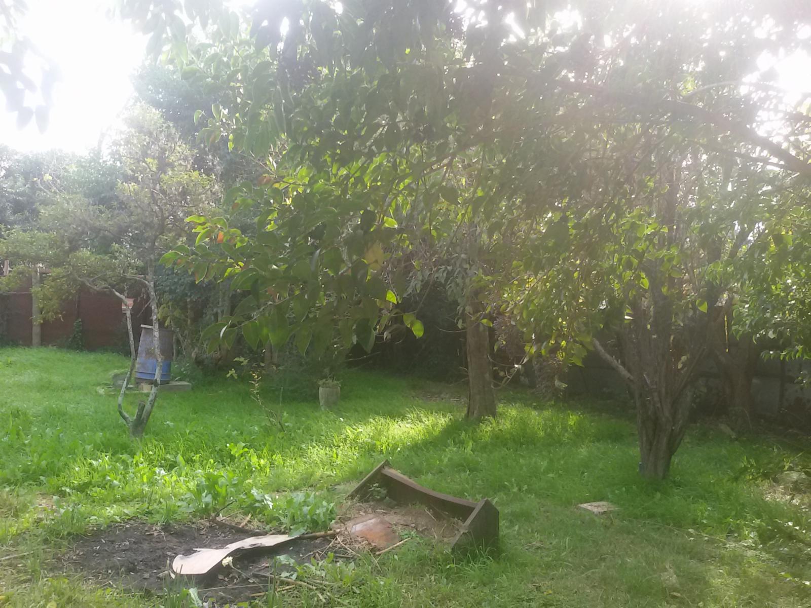 TERRENO — foto 3