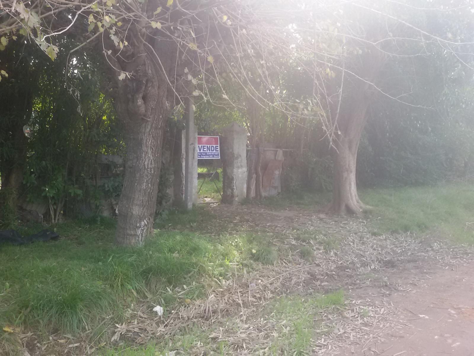 TERRENO — foto 4